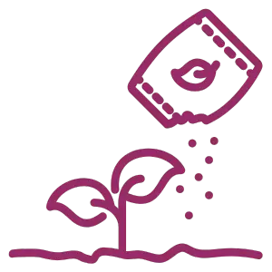 Jak poprawić zawiązywanie owoców i ich jakość w czasie kwitnienia truskawek, stosując stymulatory dolistne?