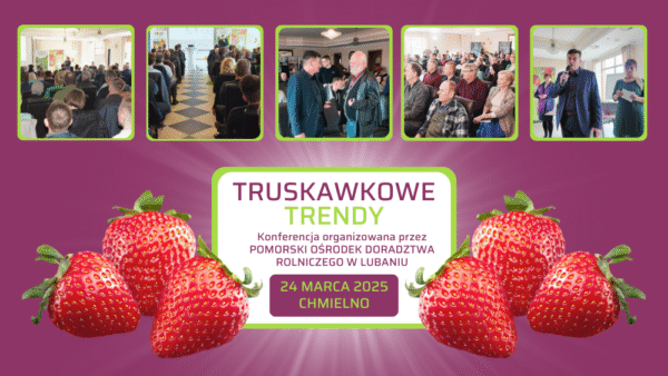 Zapraszamy na Truskawkowe Trendy! Sprawdź, dlaczego warto!