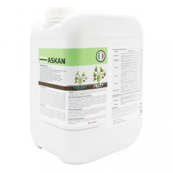 Second image of Askan