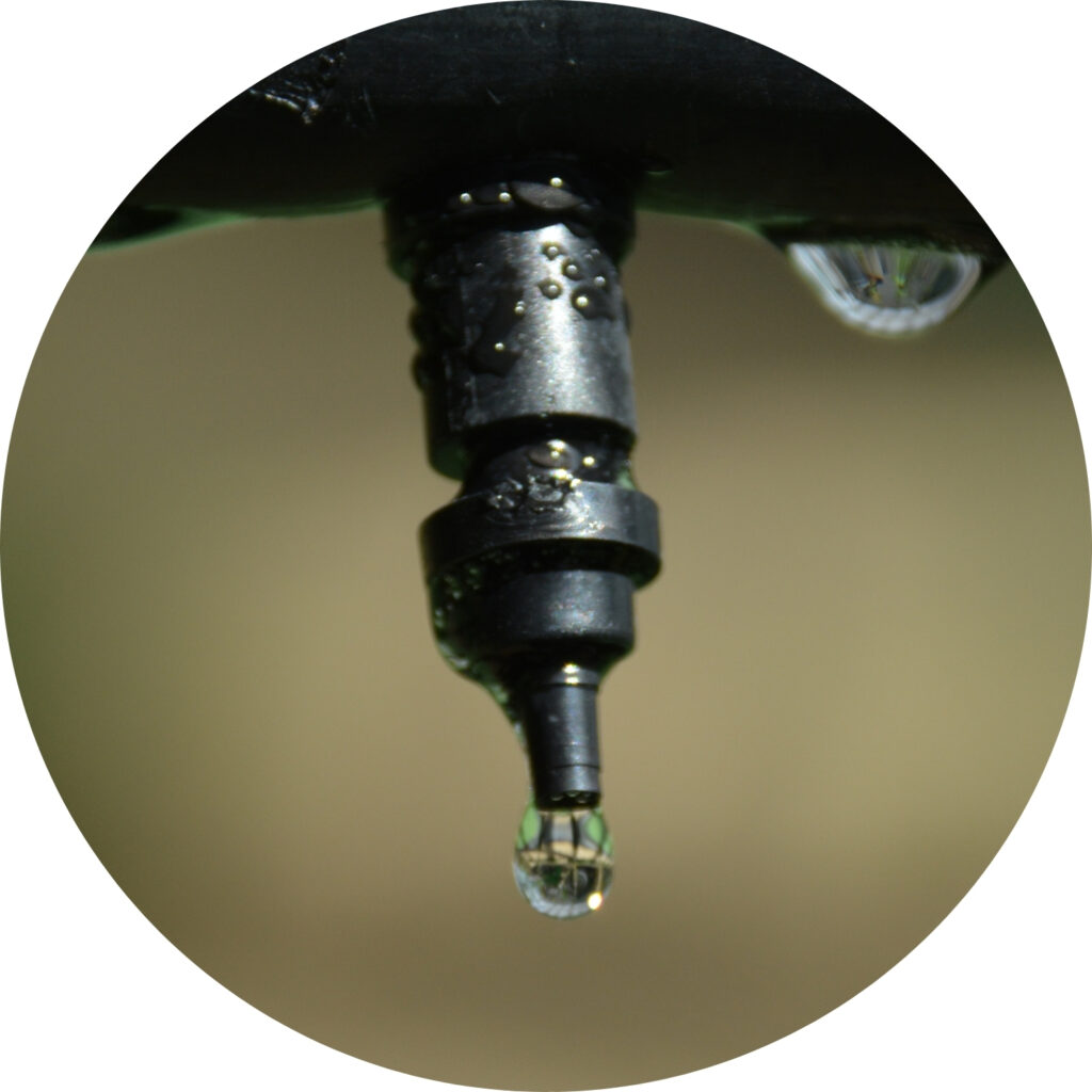 nawozy do fertygacji-fertygacja